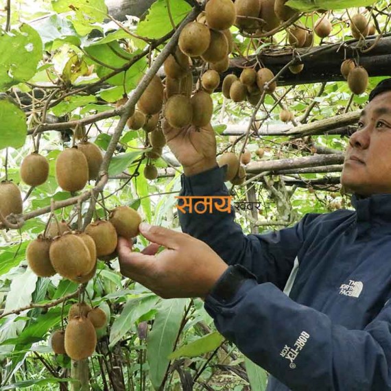 युवा कृषि उद्यमी मगर जिल्लाकै सफल किसान (फोटो फिचर सहित)